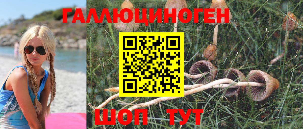 Галлюциногенные грибы MAGIC MUSHROOMS  Галлюциногенные грибы MAGIC MUSHROOMS  Нефтекумск  Вход с VPN 